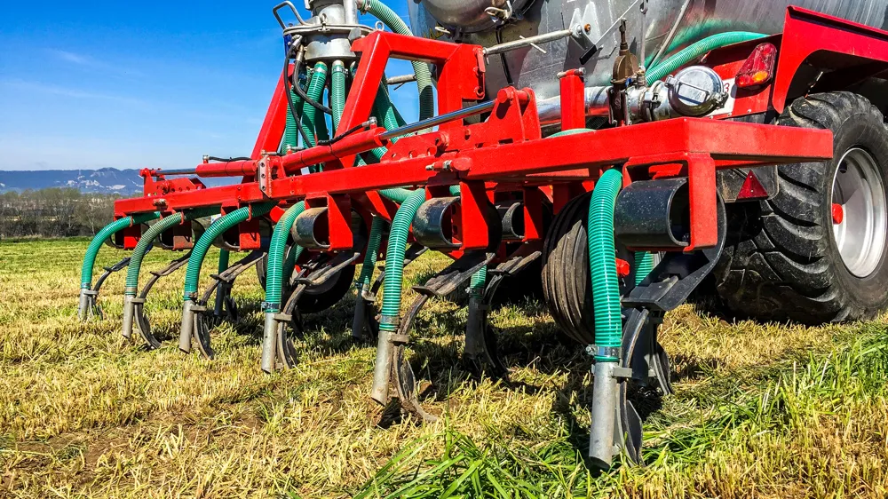 Enterrador, close-up
